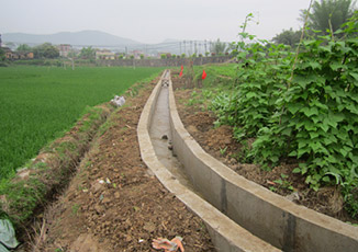 仙湖灌高标治理