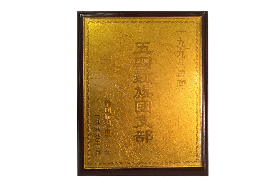 1998年度五四红旗团支部