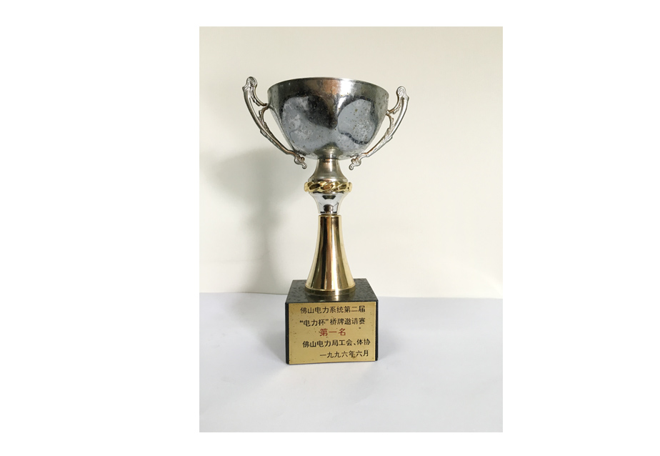 佛山电力系统第二届电力杯