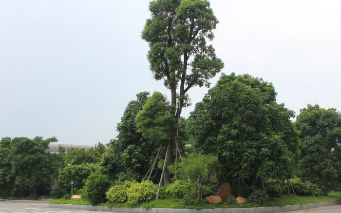 新葡萄平台官网大全