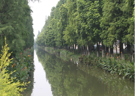 新葡萄平台官网大全