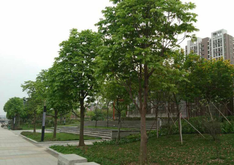 新葡萄平台官网大全