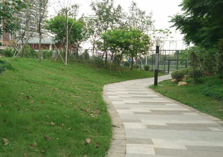 新葡萄平台官网大全