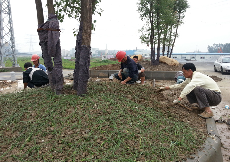 新葡萄平台官网大全