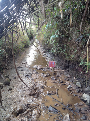 新葡萄平台官网大全