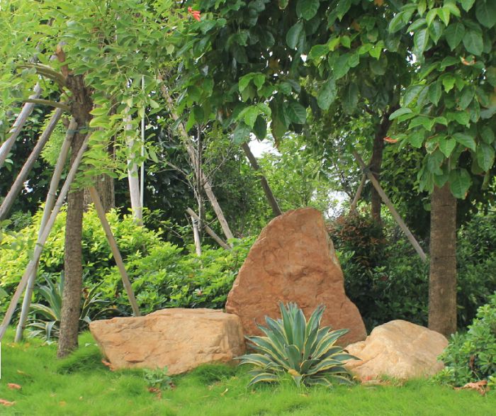 新葡萄平台官网大全