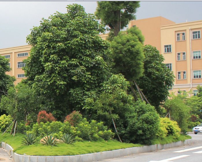 新葡萄平台官网大全